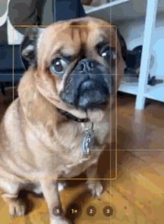 Exclusive 50% Off: Smart Pet Tag + Lifetime Subscription for £20