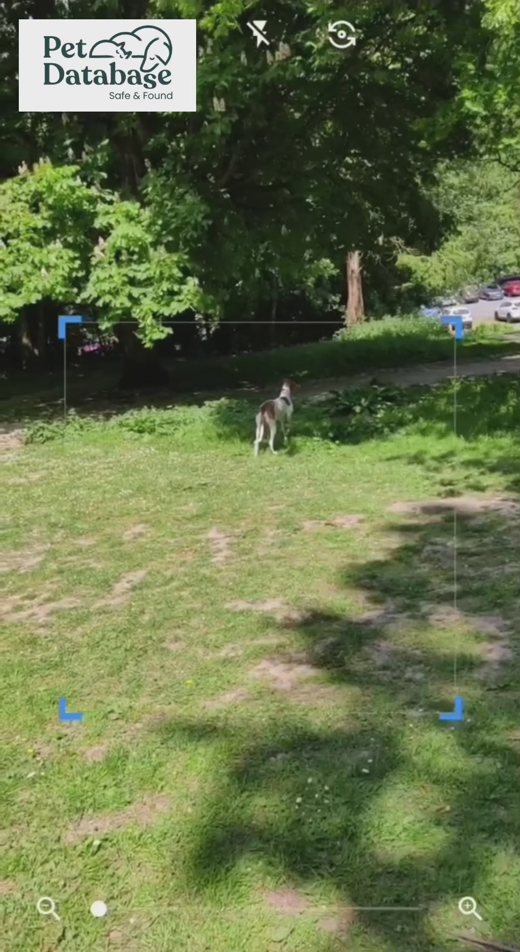 Pet Database Smart Pet Tag